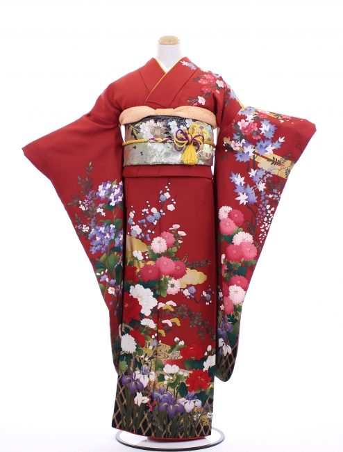 中振袖 TM30121 アヤメに菊牡丹 ¥20,000