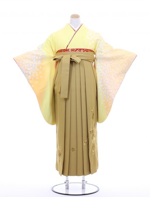 元禄小振袖 TM62035 桜吹雪 ¥38,000